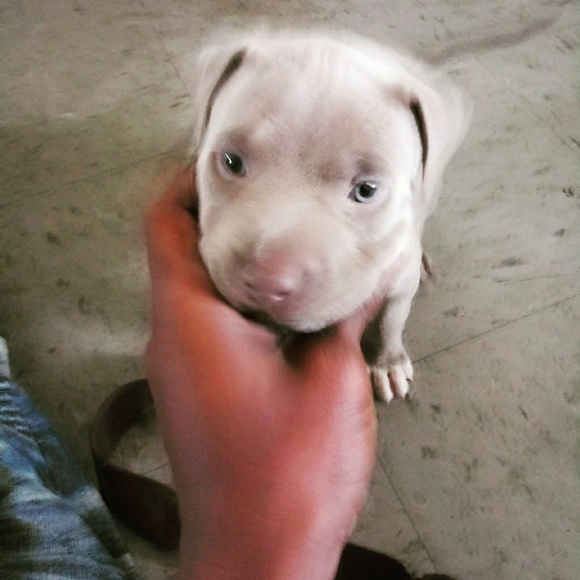 Storm - Picture 3 of 3